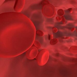 Iron Deficiency Panel